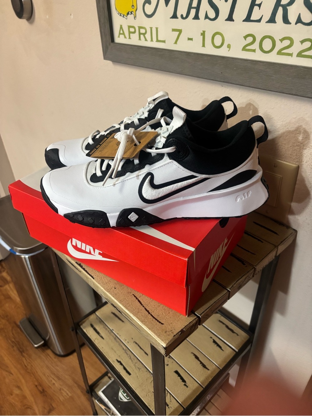 Nike Air Diamond Varsity Turfs (NWT) - Size 10